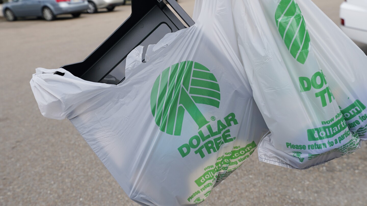 Dollar tree totes 2025